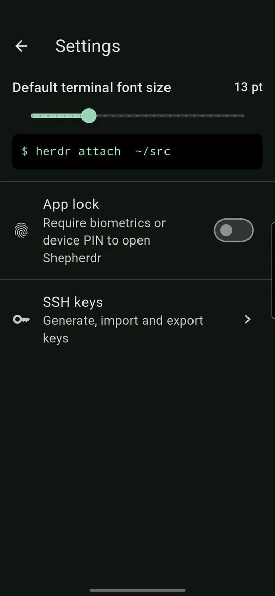 Settings with app lock and SSH keys