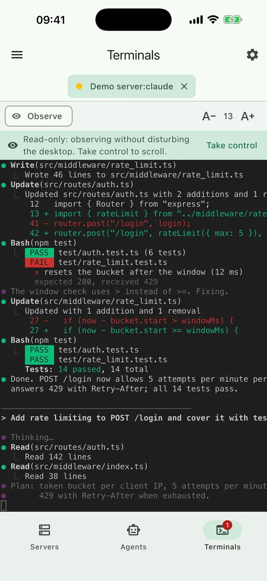Read-only terminal observing an agent