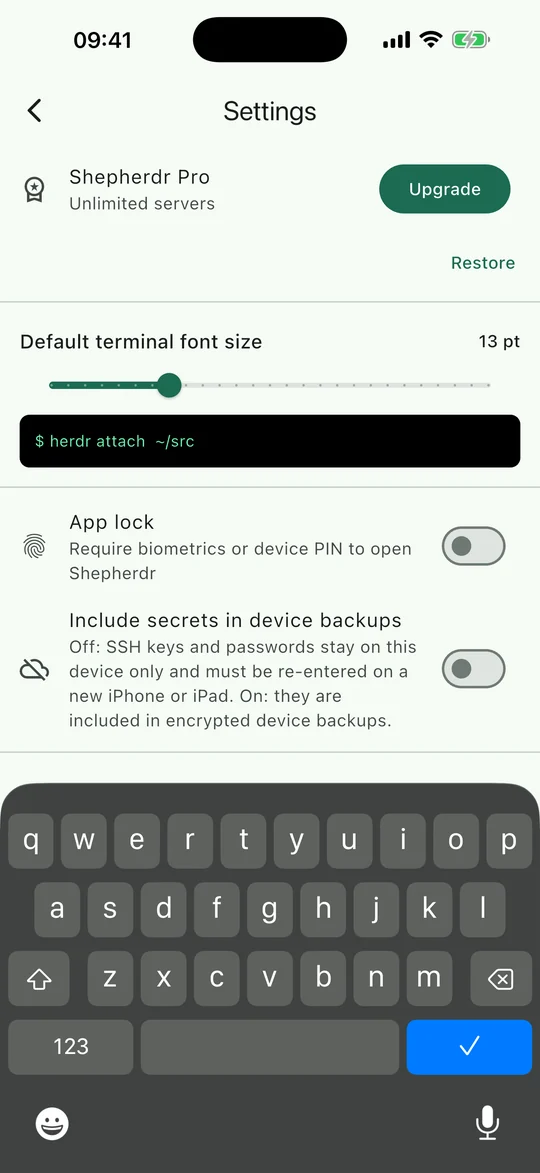 Settings with upgrade